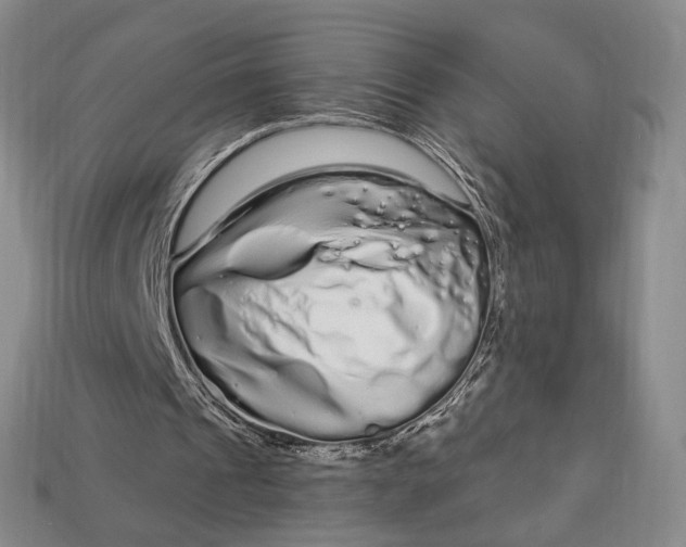 X0000112720241200909101453