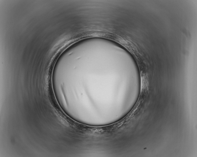 X0000112720243200909101453