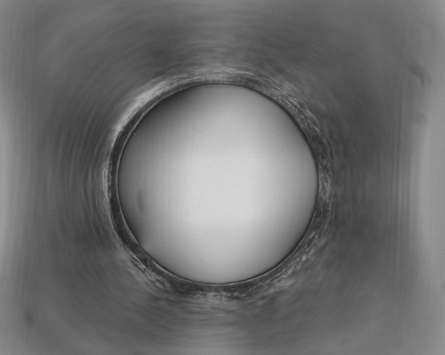 X0000112720244200909101453