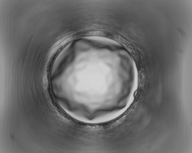 X0000112720245200909101453