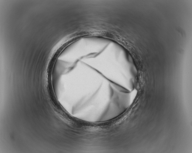 X0000112720246200909101453