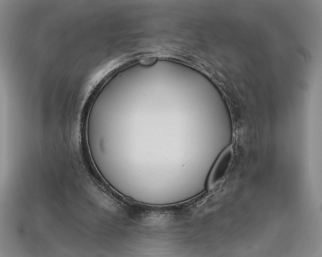 X0000112720248200909101453