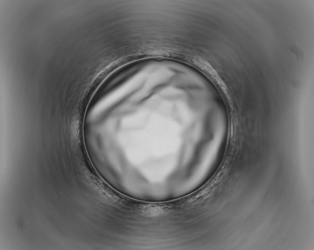 X0000112720249200909101453