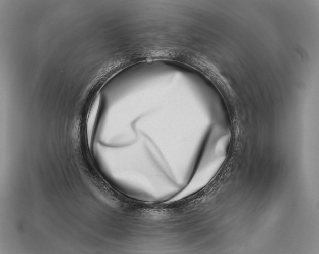 X0000112720250200909101453