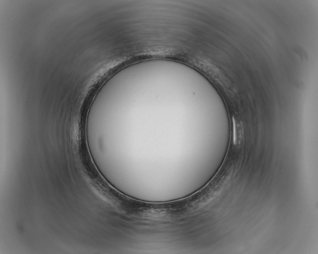 X0000112720252200909101453