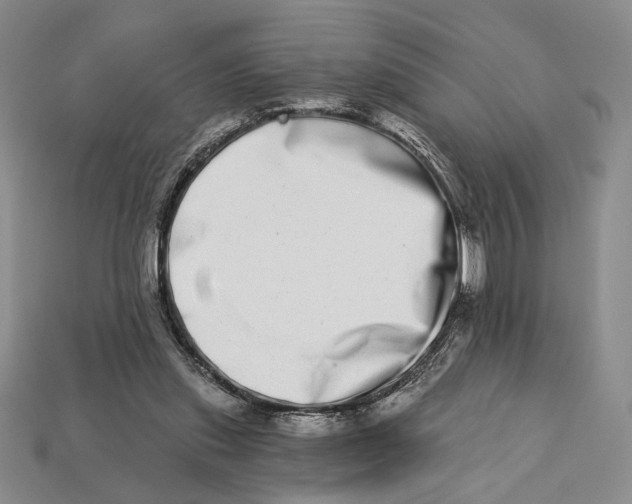 X0000112720253200909101453