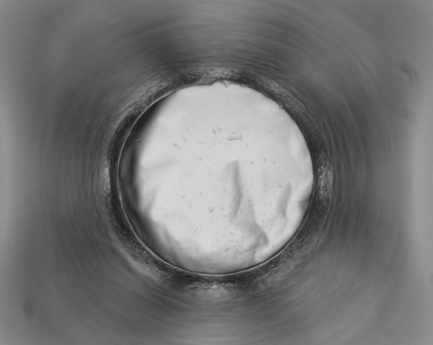 X0000112720254200909101453