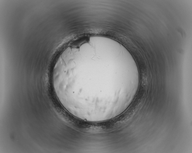 X0000112720256200909101453