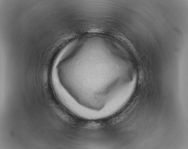 X0000112720257200909101453