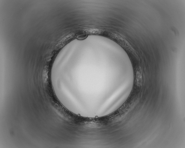 X0000112720259200909101453