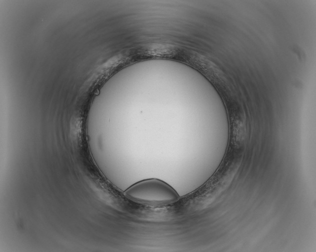 X0000112720260200909101453