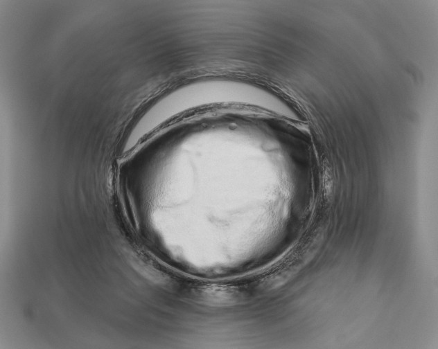 X0000112720261200909101453