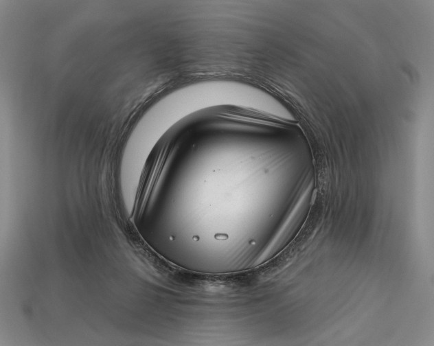 X0000112720264200909101453