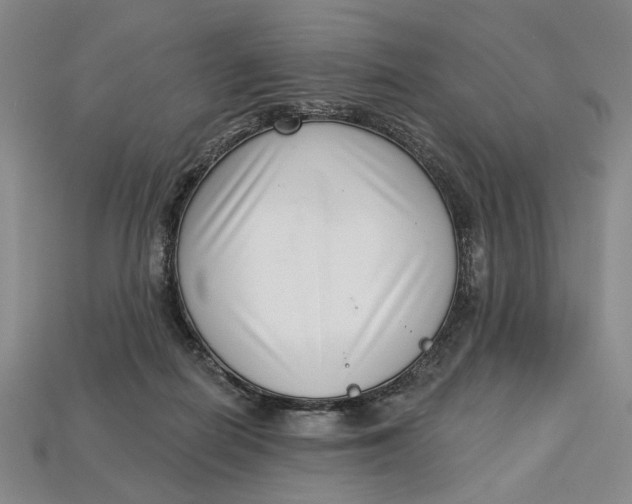 X0000112720266200909101453