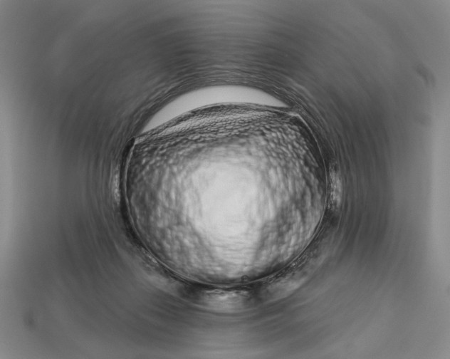 X0000112720267200909101453