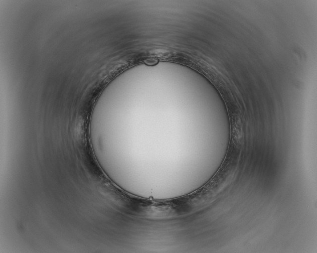 X0000112720270200909101453