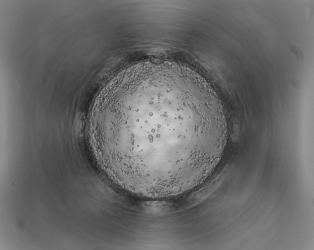 X0000112720273200909101453