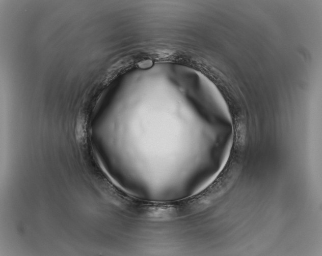 X0000112720274200909101453