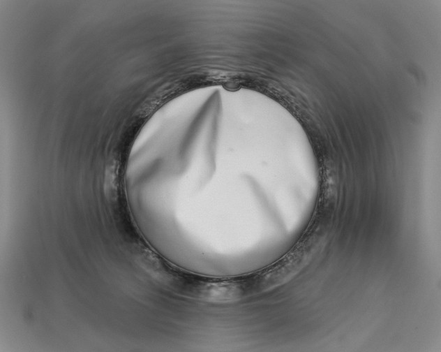 X0000112720275200909101453