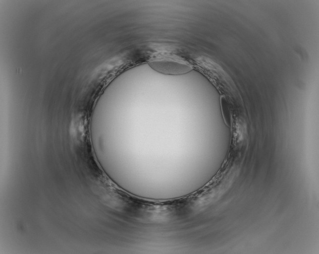 X0000112720276200909101453