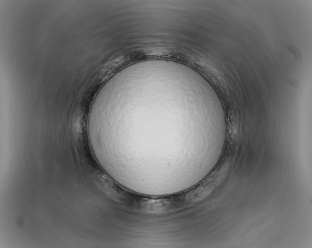 X0000112720277200909101453