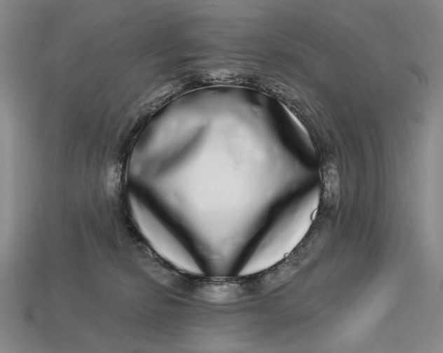 X0000112720278200909101453