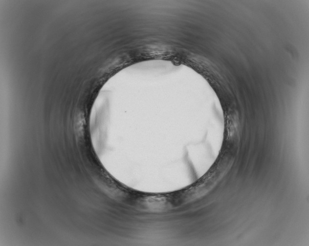 X0000112720279200909101453