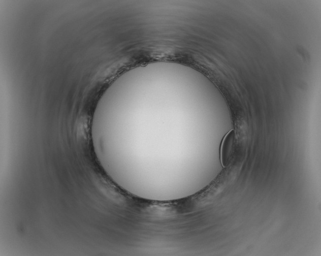 X0000112720280200909101453