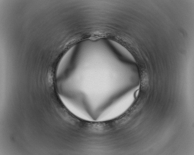 X0000112720282200909101453