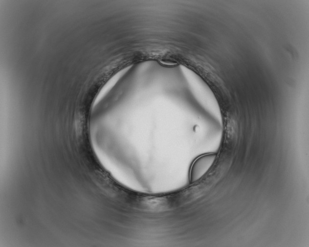 X0000112720283200909101453