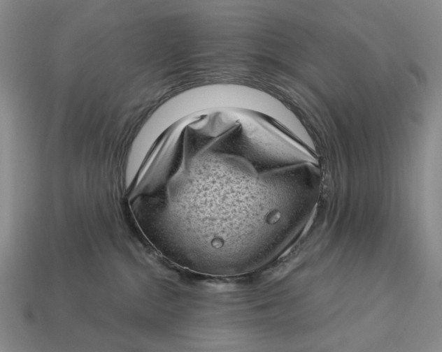 X0000112720284200909101453