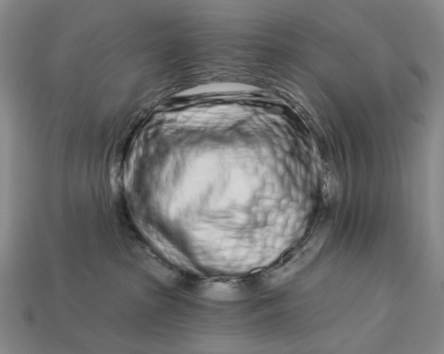 X0000112720285200909101453