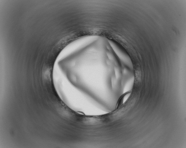 X0000112720286200909101453