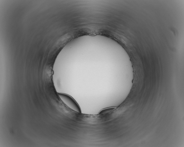 X0000112720288200909101453