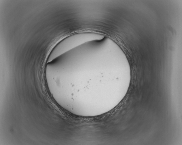 X0000112720289200909101453