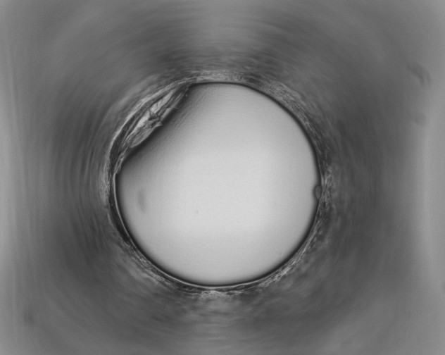 X0000112720290200909101452