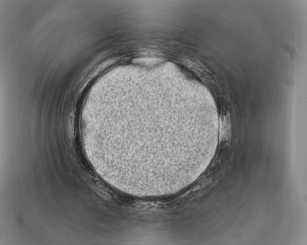 X0000112720291200909101452