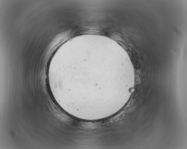 X0000112720293200909101452