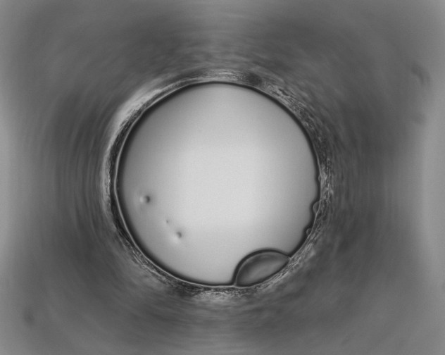 X0000112720294200909101452