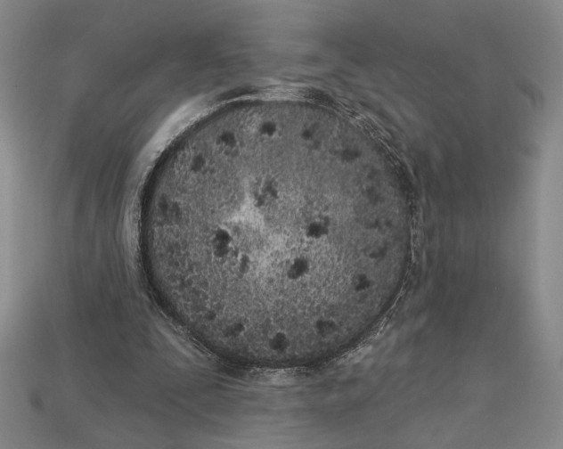 X0000112720295200909101452