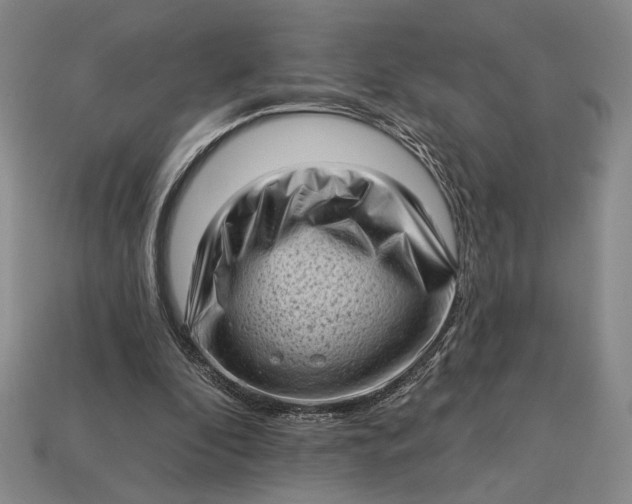 X0000112720296200909101452