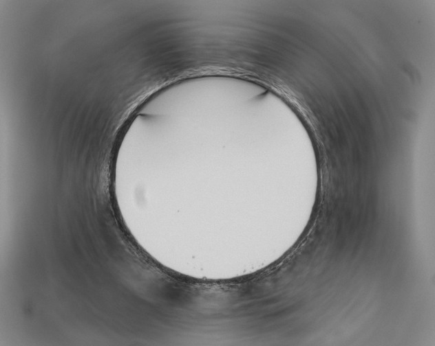 X0000112720297200909101452