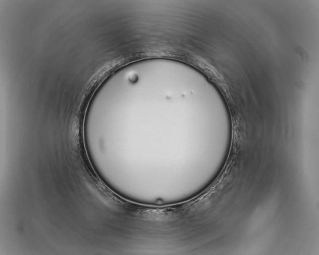 X0000112720298200909101452