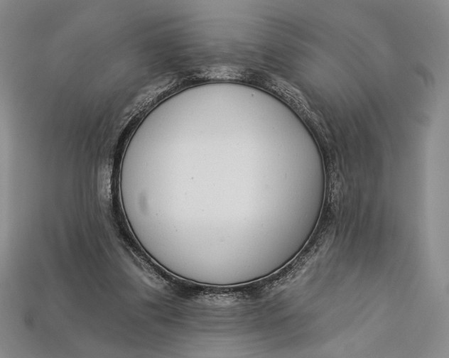 X0000112720299200909101452