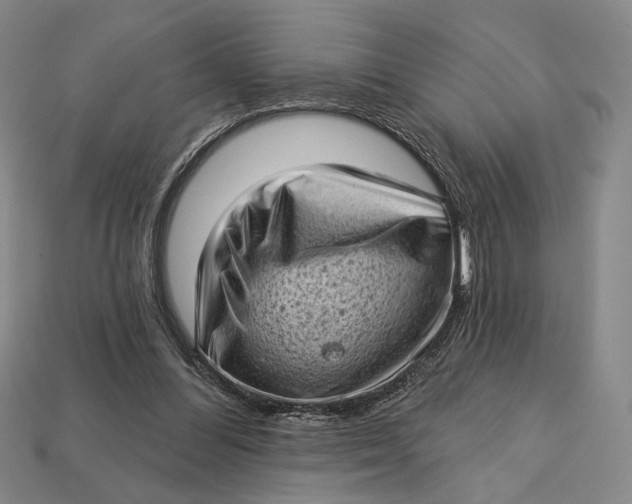 X0000112720300200909101452