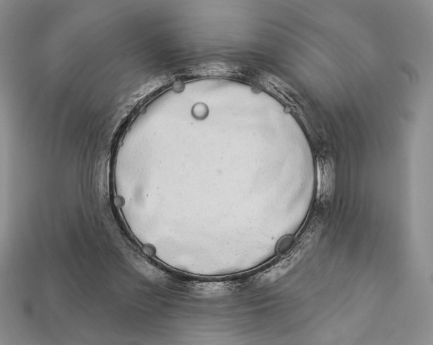 X0000112720301200909101452