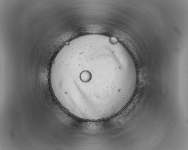 X0000112720305200909101452