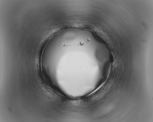 X0000112720306200909101452