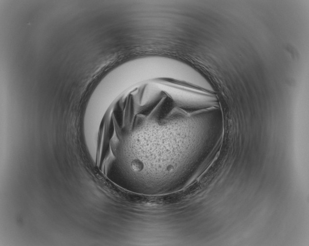 X0000112720308200909101452