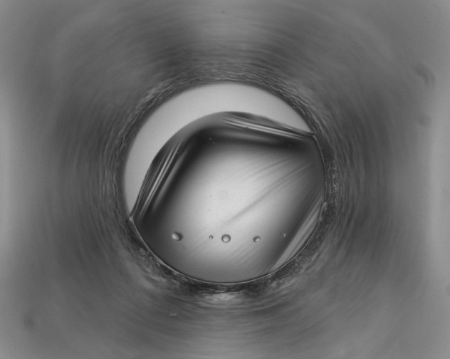 X0000112720312200909101452